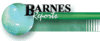2008 Worldwide Temporary Help Services Industry Report